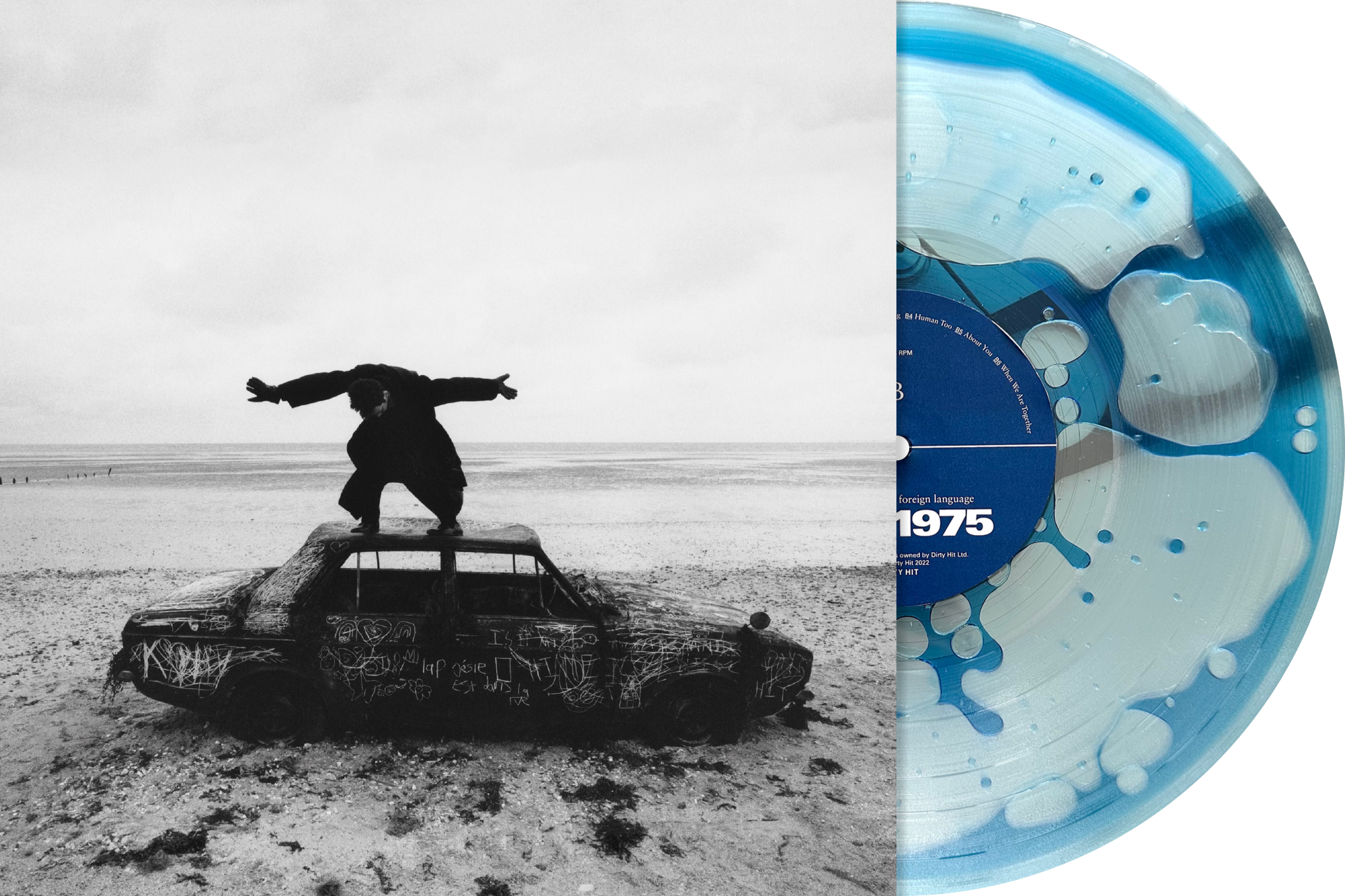 Being Funny In A Foreign Language [Bad World Liquid Filled Vinyl]