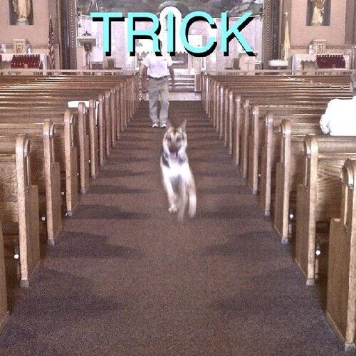 Trick [Bonus 7" Black Vinyl]