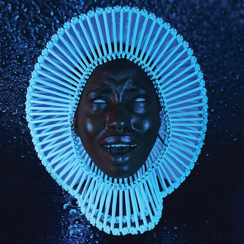 Awaken My Love [Black Vinyl]