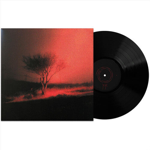 Piss in the Wind [Black Vinyl]