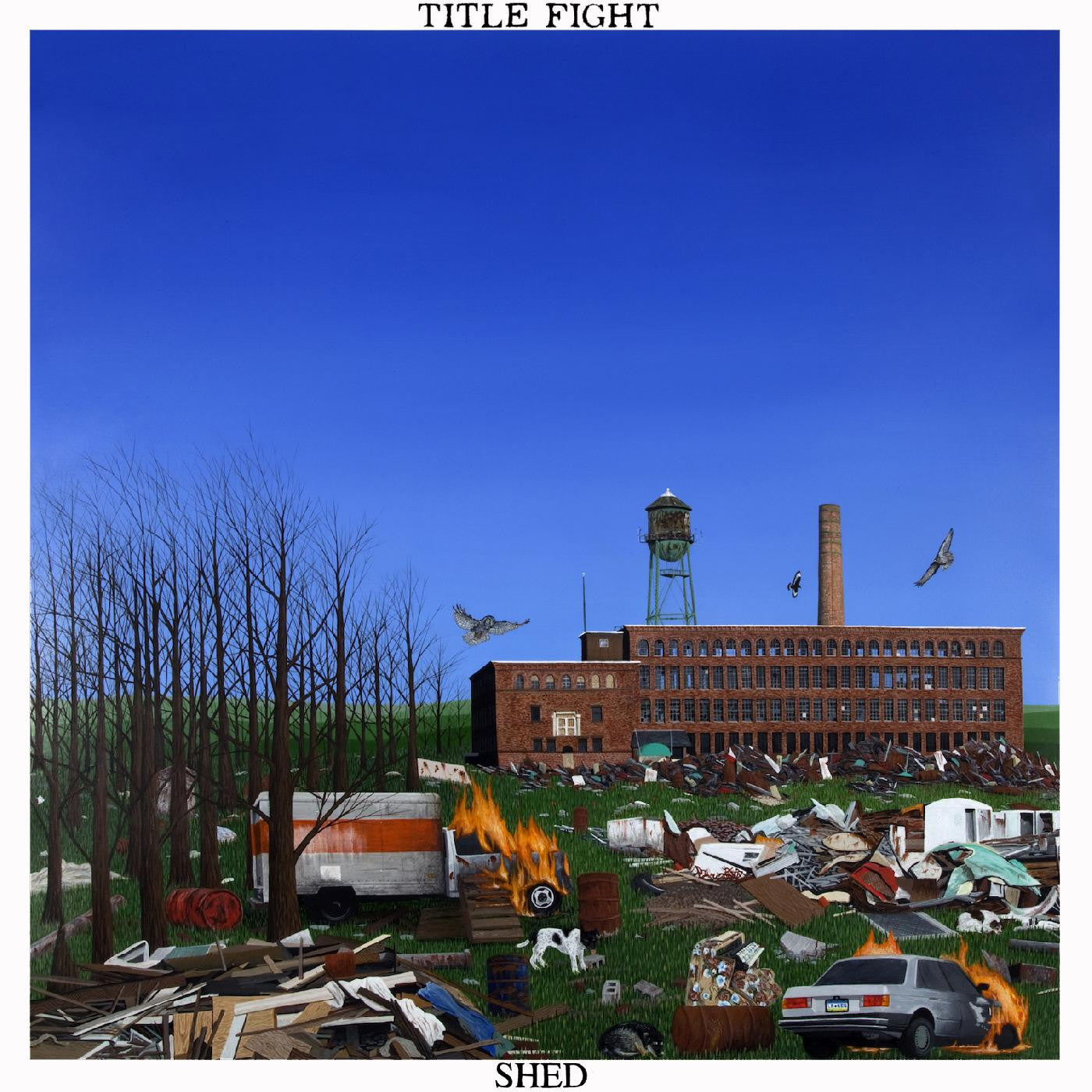 Shed [Black Vinyl]