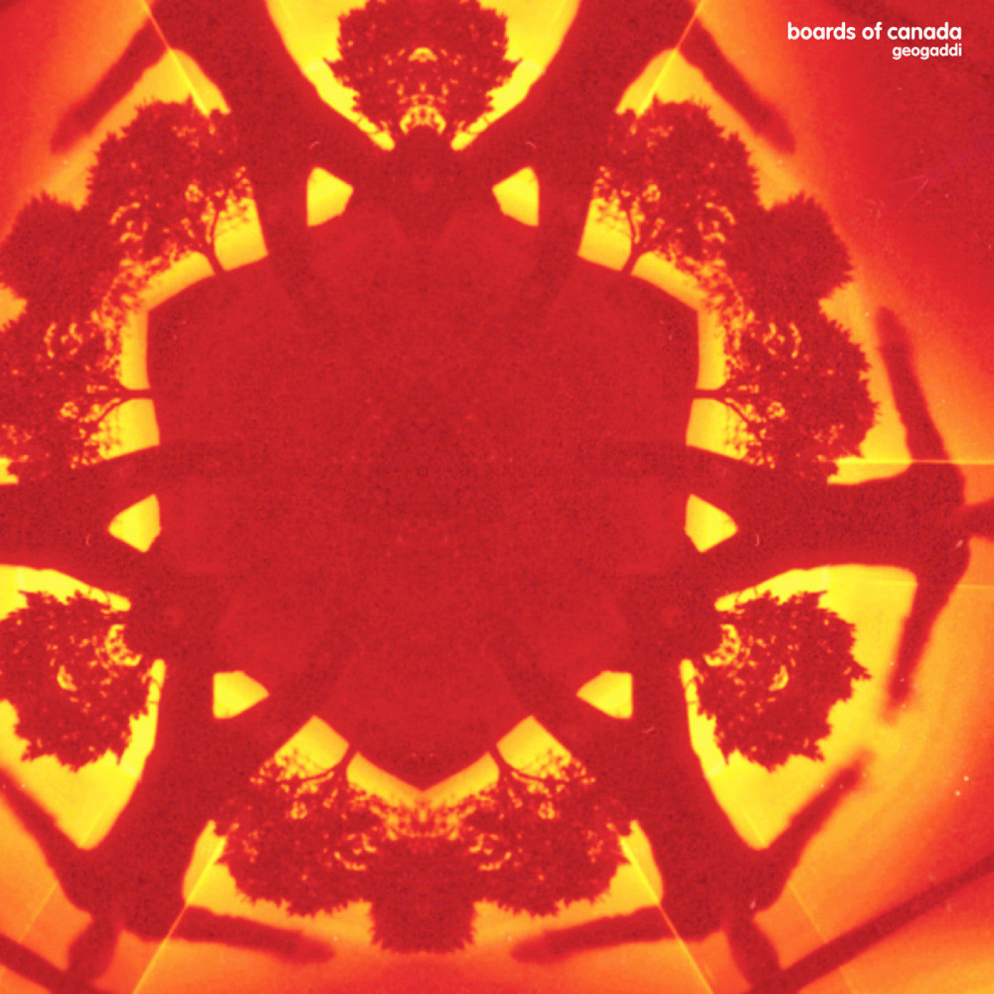 Geogaddi [Black Vinyl]