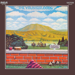 Elephant Mountain [180 Gram Vinyl]