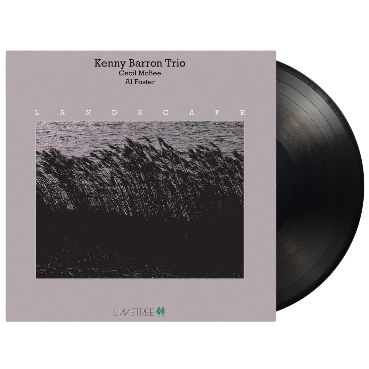 Landscape [180 Gram Black Vinyl]